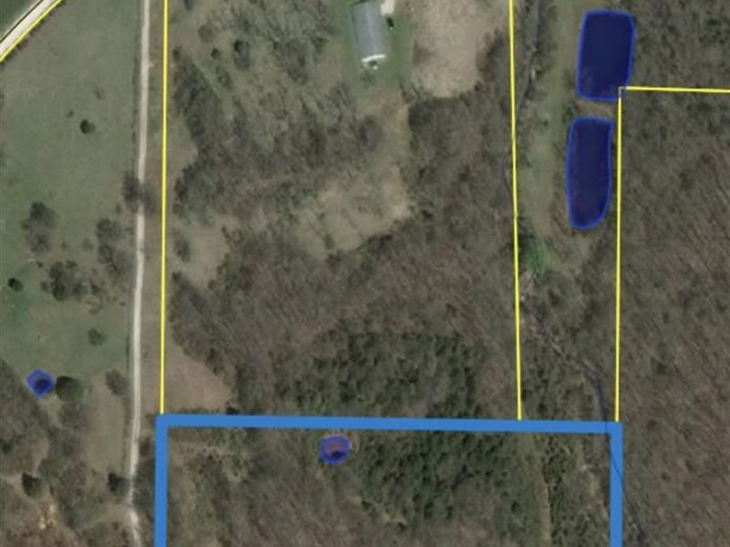 Great Land for Building : Mountain Grove : Wright County : Missouri