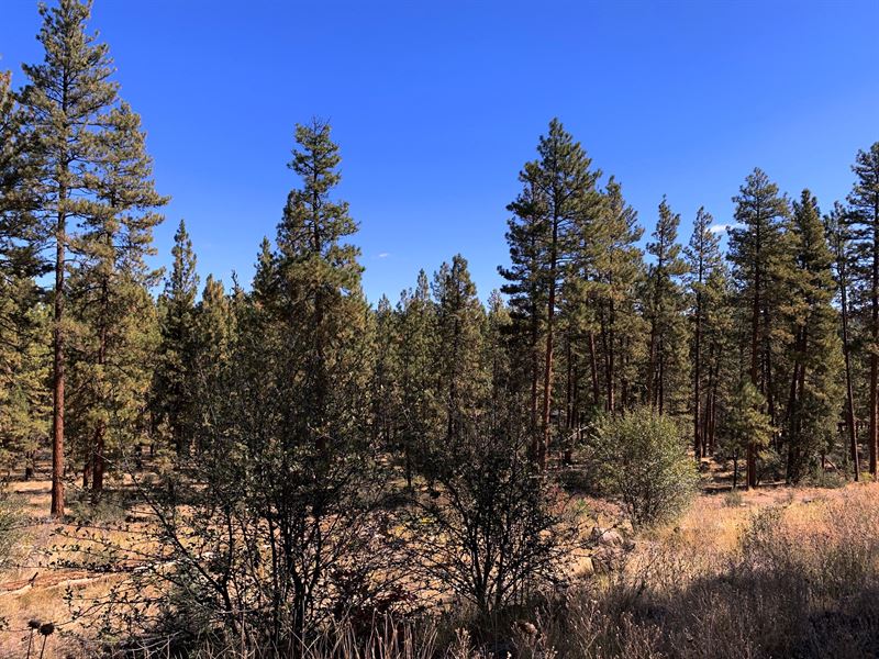 $275/Mo for 2.3 Ac in Bonanza, OR : Bonanza : Klamath County : Oregon