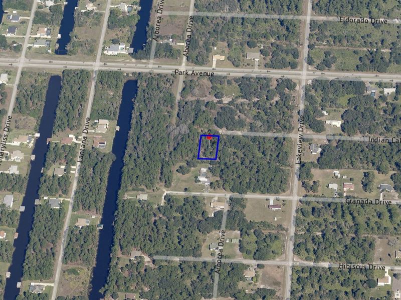 .5 Acre, Huge Lake, 2 Golf Courses : Indian Lake Estates : Polk County : Florida