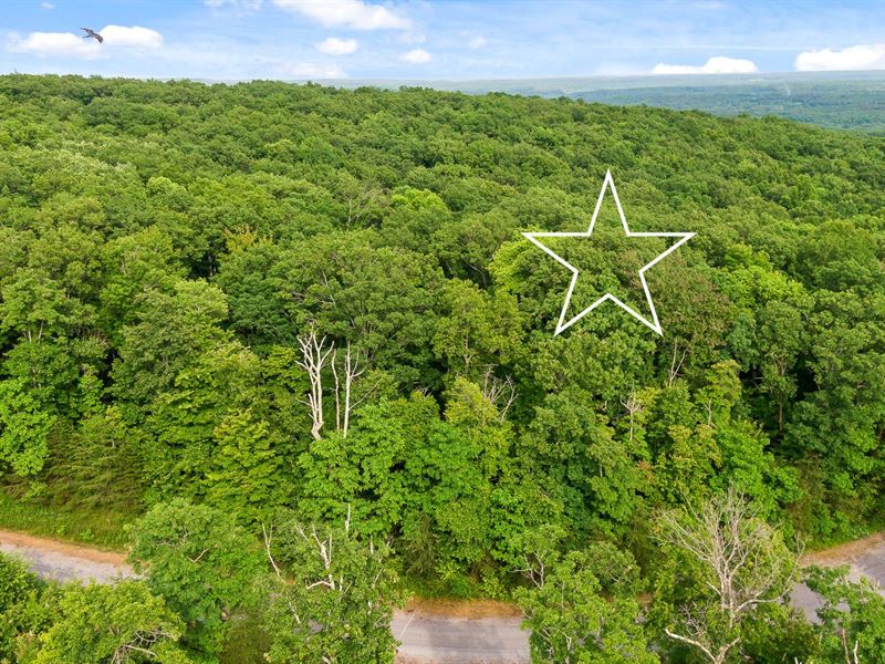 Quiet 5 Acre Lot : Dunlap : Sequatchie County : Tennessee