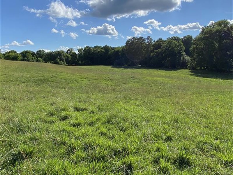 Rolling Hills and Wandering Creeks : Ward : Saluda County : South Carolina