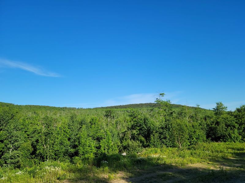 Derby MT Tract Temple : Temple : Franklin County : Maine