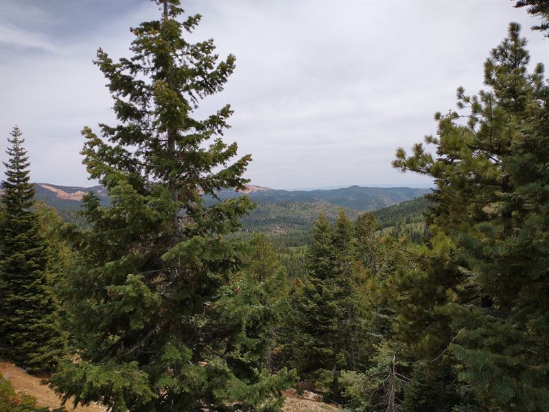 Duck Creek 1/2 Acre Utah Property : Duck Creek Village : Kane County : Utah