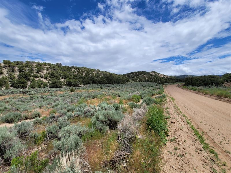 Enjoy The Mountains of Colorado : Sangre De Cristo Ranches : Costilla County : Colorado