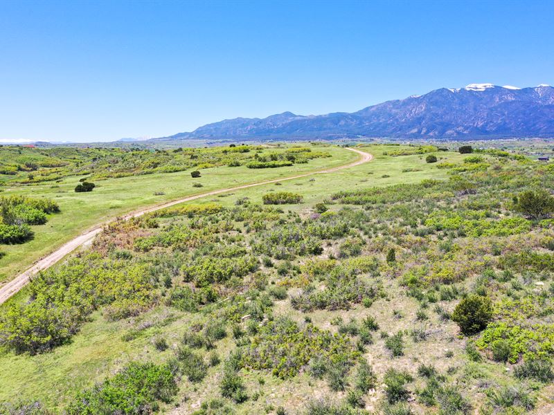 Active Water Line, 0.6 AC in CO : Rye : Pueblo County : Colorado