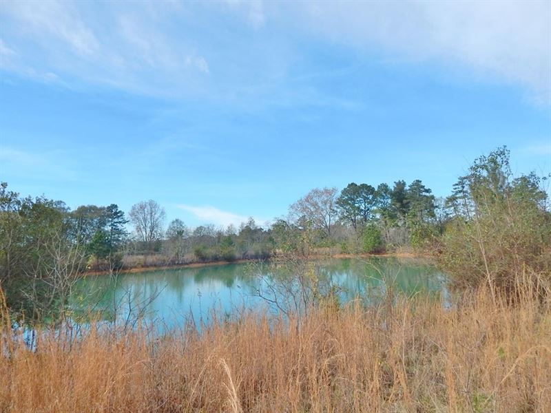 Adams Road, Commercial Site : McComb : Pike County : Mississippi