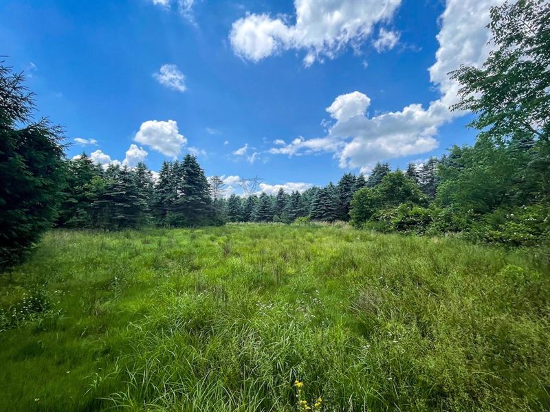 Downing St, 65 Acres, Stark Count : East Sparta : Stark County : Ohio