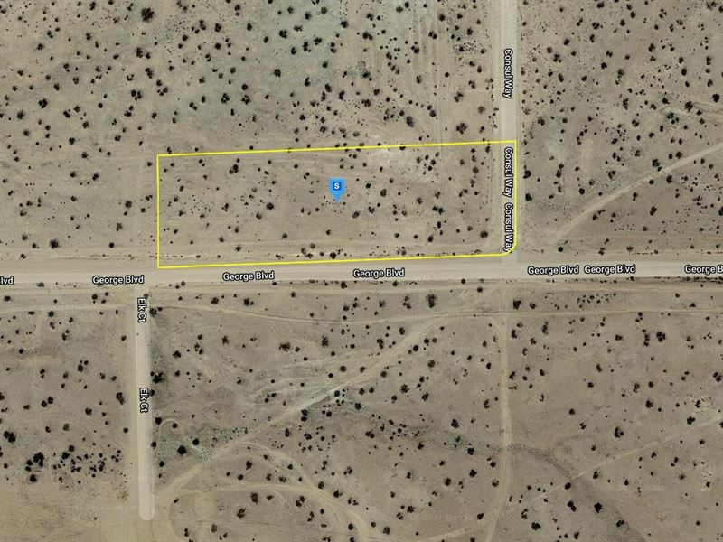 Rural Living Experience : California City : Kern County : California