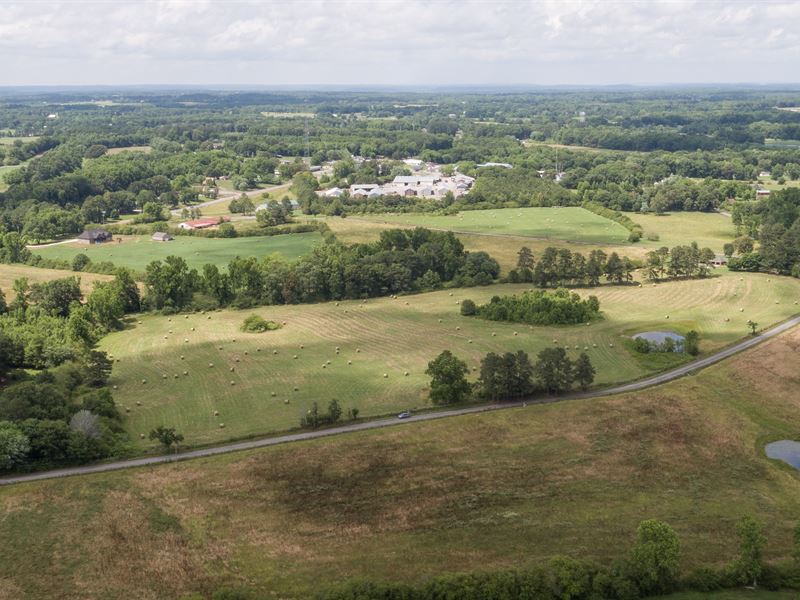 Buckskin Ranch : Baileyton : Cullman County : Alabama