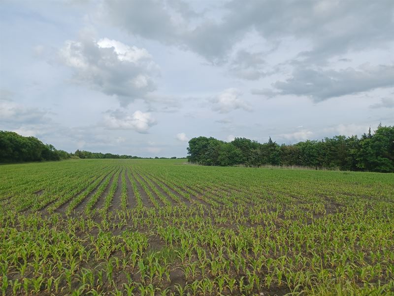 Recreational Farm Land for Sale : Paris : Lamar County : Texas