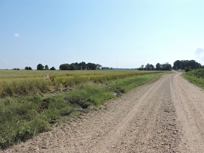 Farmland in Otwell, AR : Otwell : Craighead County : Arkansas