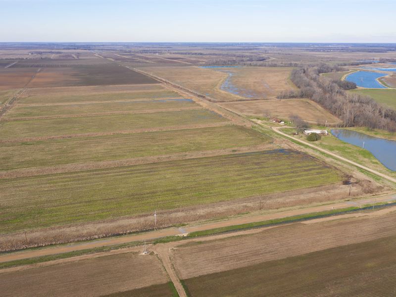 Auction, Lake Village, AR Farmland : Lake Village : Chicot County : Arkansas