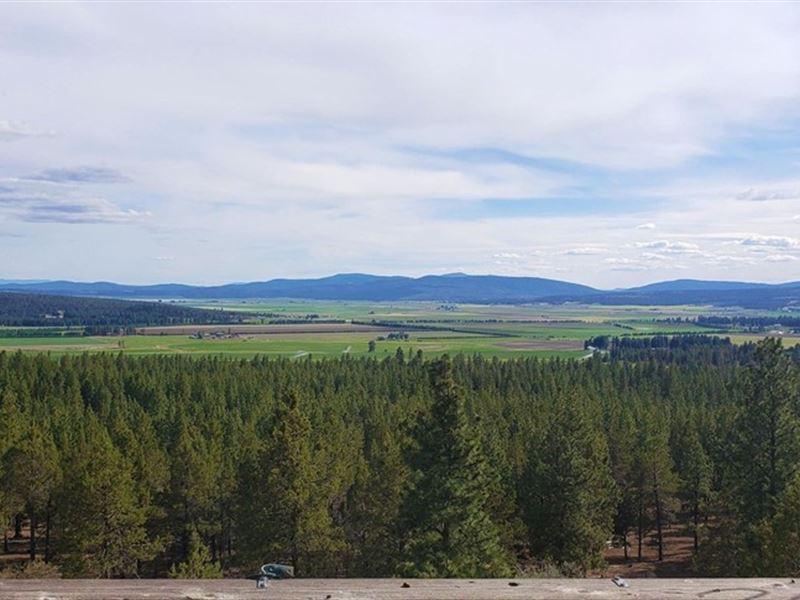 Unique Home, Amazing Views : Bonanza : Klamath County : Oregon