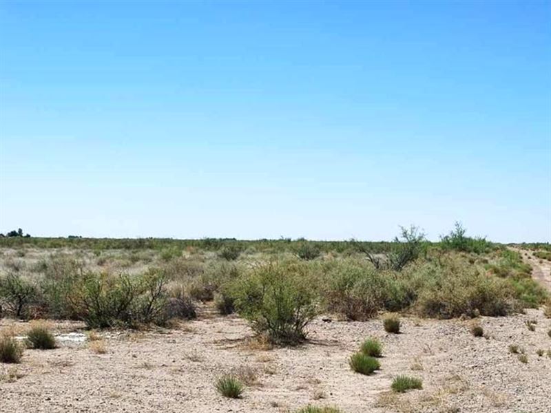 3.02 Ac in Deming South, NM : Deming South : Luna County : New Mexico