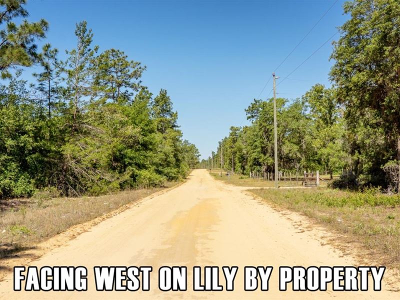2.32 Acres in Interlachen, FL : Interlachen : Putnam County : Florida