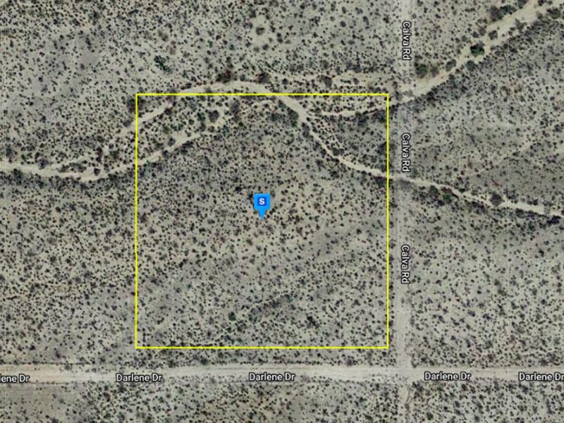 Sustainable & Pollution Free : Yucca : Mohave County : Arizona