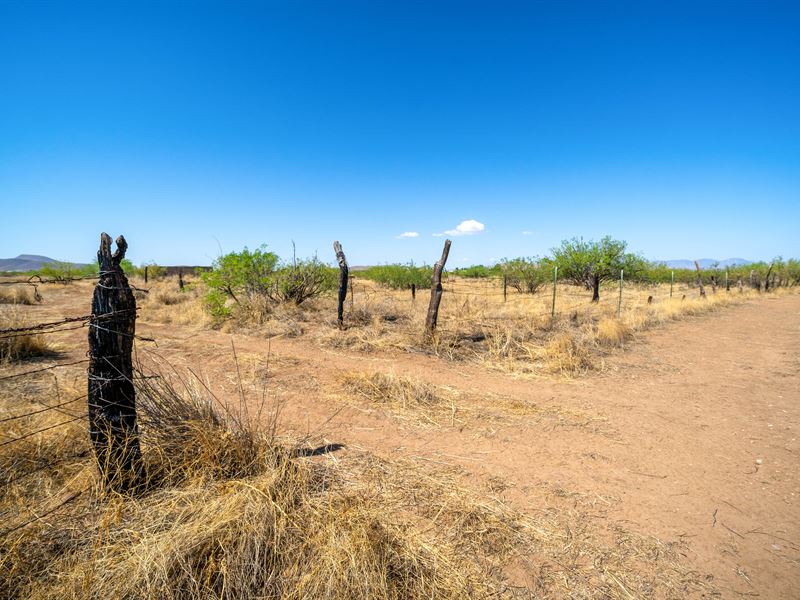 40 Acres in Sunizona, AZ : Sunizona : Cochise County : Arizona