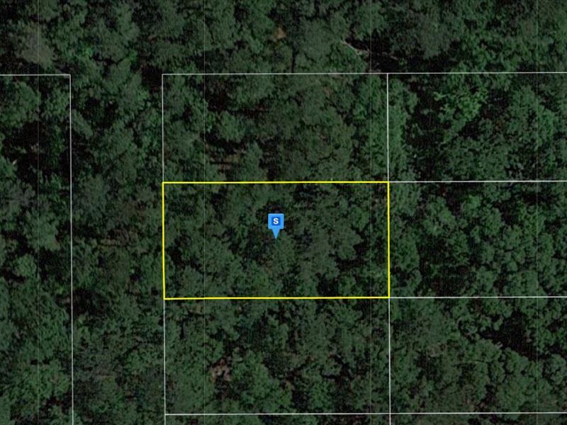 .25 Acre in Suwannee County, FL : Live Oak : Suwannee County : Florida