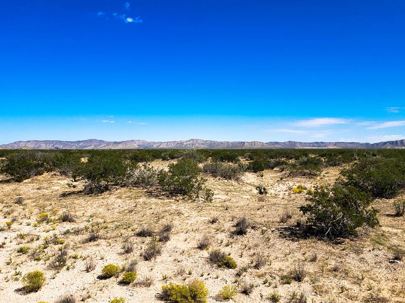 Your Future is on The Horizon : El Paso : El Paso County : Texas