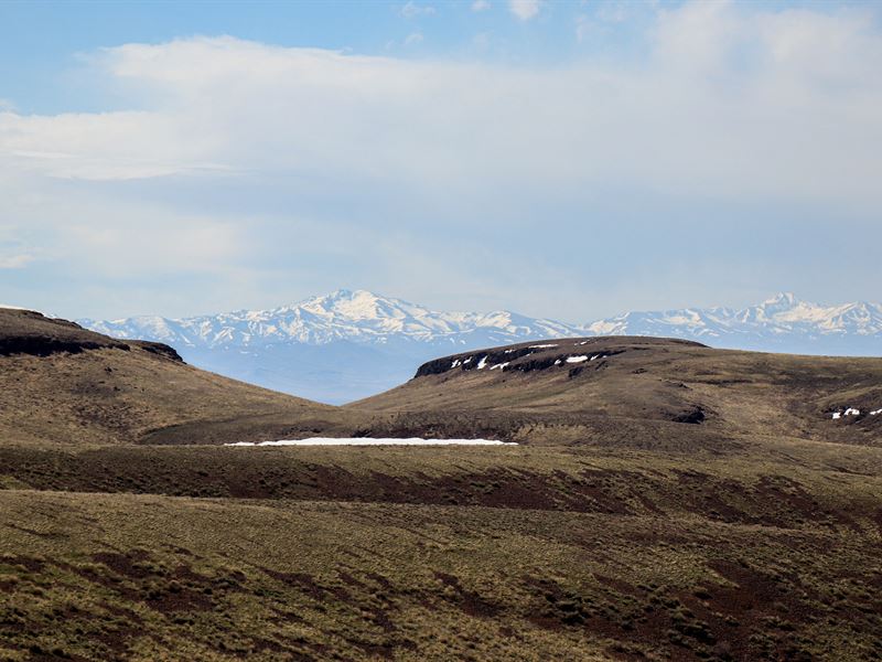 Large Scale True Cattle Ranch : McDermitt : Elko County : Nevada