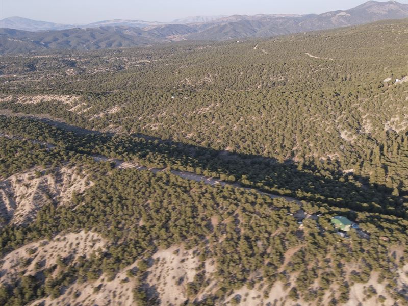Green Acres Are The Place To Be : Fort Garland : Costilla County : Colorado
