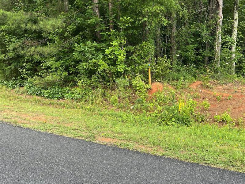 .49 Acres for Sale in Woodleaf, NC : Woodleaf : Rowan County : North Carolina