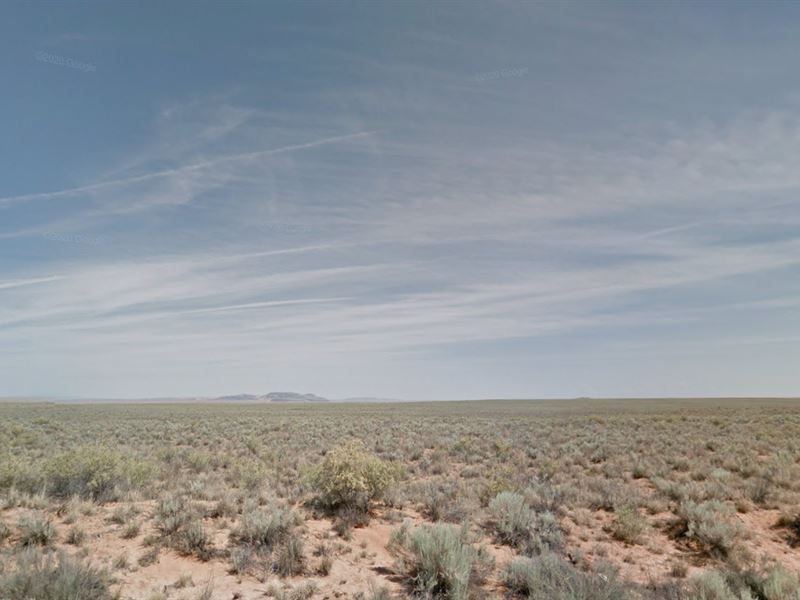 An Acre in NM for Just $99 Down : Belen : Valencia County : New Mexico