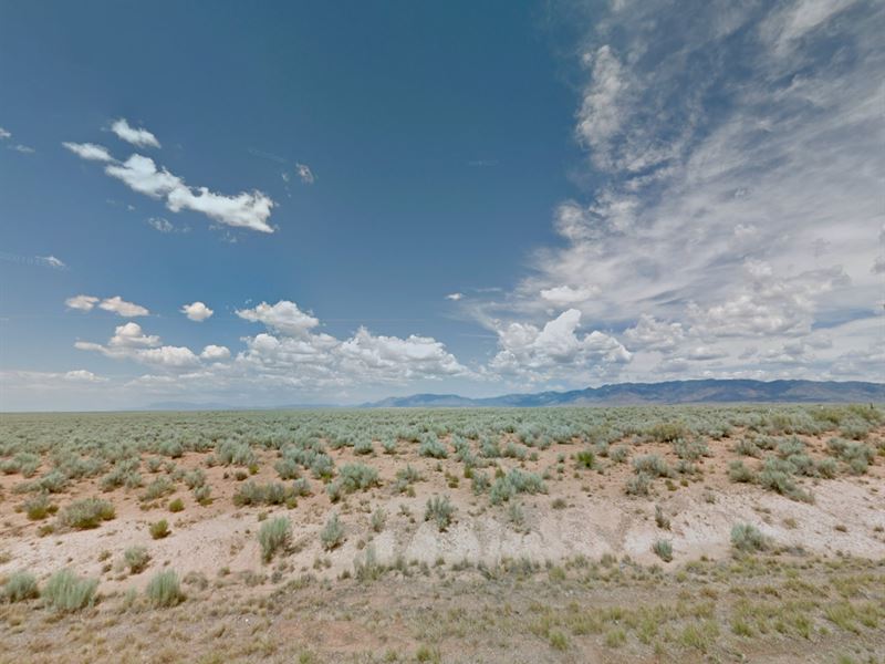 Beautiful 1 Acre in NM for $99 Down : Belen : Valencia County : New Mexico