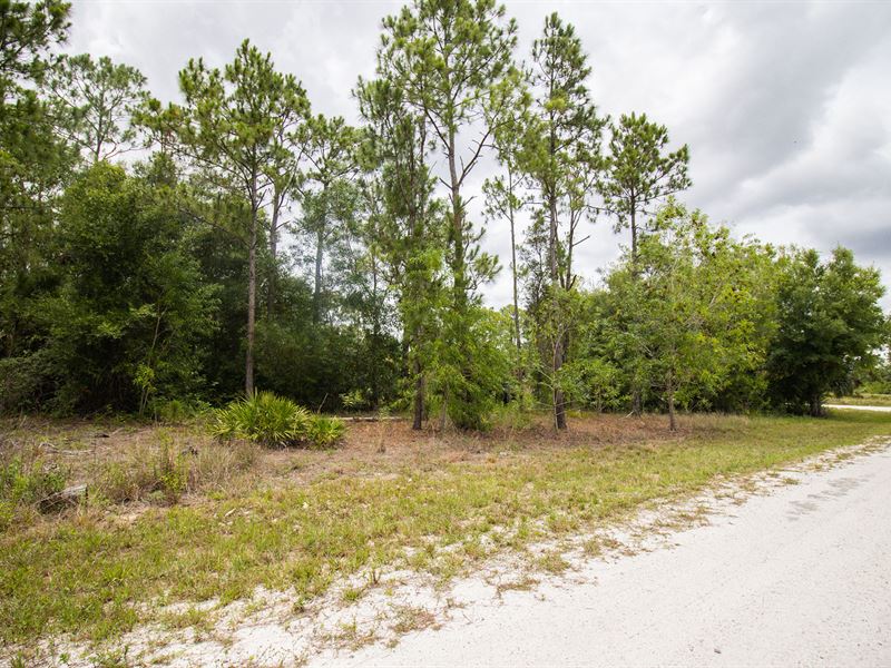 Oversized Corner Lot, Lehigh Acres : Lehigh Acres : Lee County : Florida