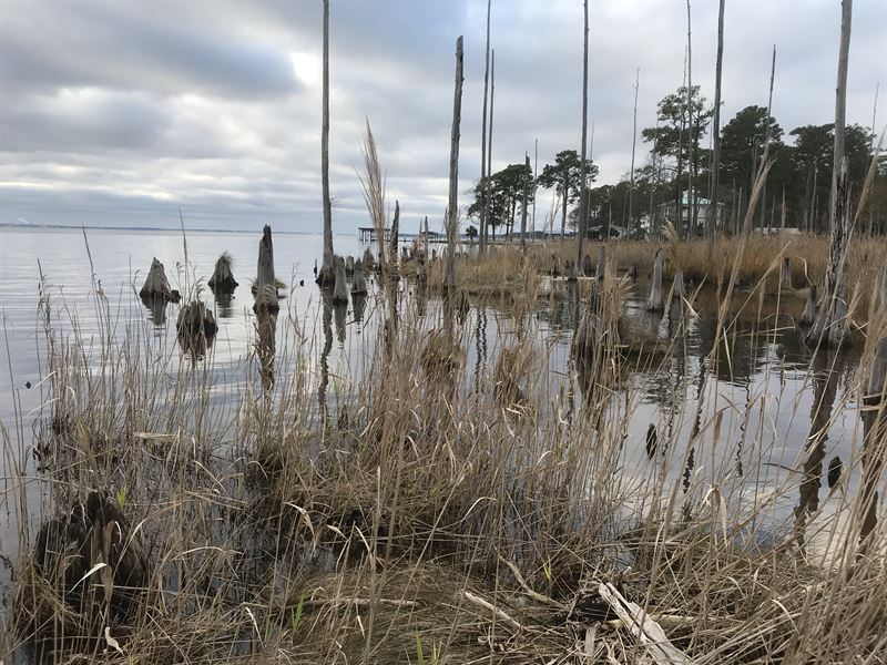 Waterfront Property for Sale in NC : Belhaven : Beaufort County : North Carolina