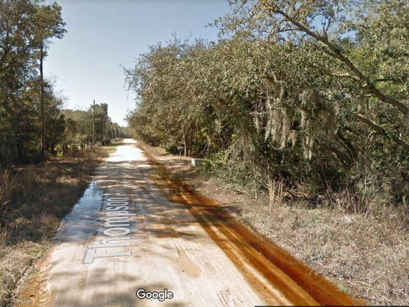 Own This 0.45 Ac in Putnam Co., FL : Interlachen : Putnam County : Florida