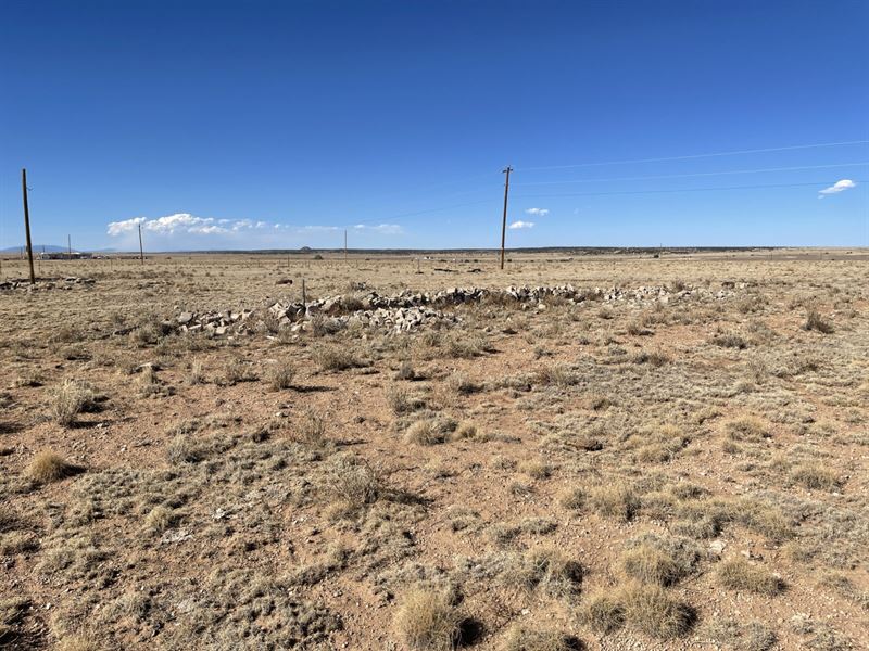 Lots of Space & Few Neighbors : Moriarty : Torrance County : New Mexico