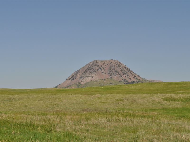 Bear Butte Vista : Whitewood : Meade County : South Dakota