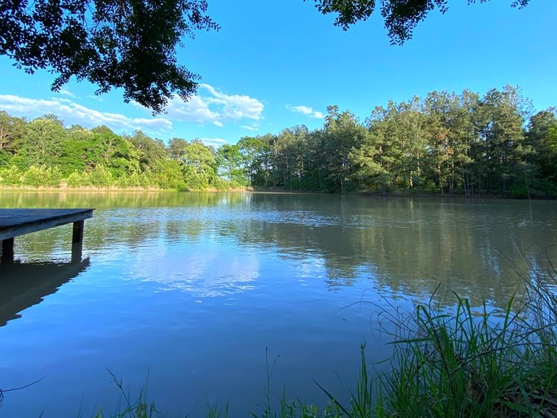 28.62 Acres in Montgomery, Texas : Montgomery : Montgomery County : Texas