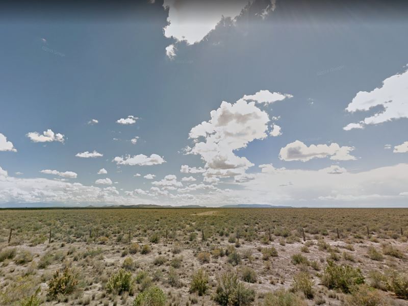 Perfect 1.25 Acres in Co, $1 Down : Alamosa : Alamosa County : Colorado