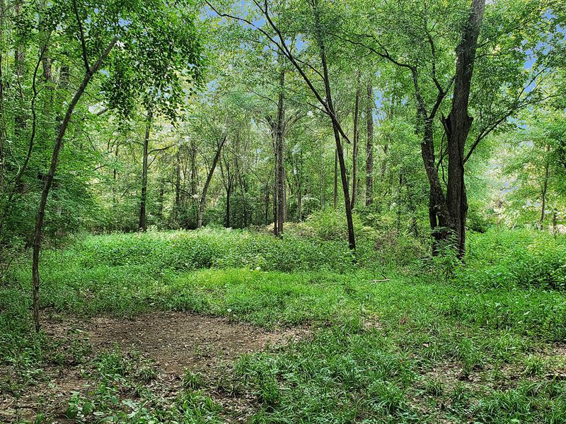 1.122 Acre Lot in Marshall : Marshall : Harrison County : Texas