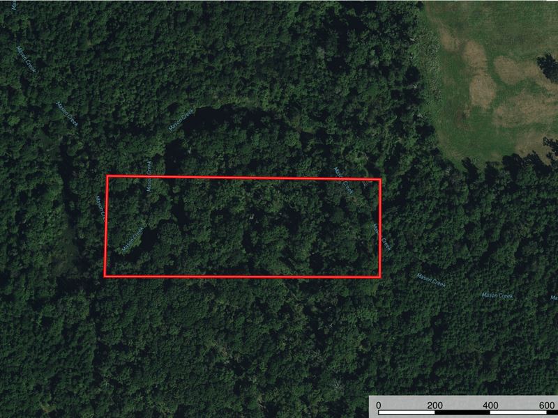 8.5 Acres in The Country with Creek : Longview : Harrison County : Texas