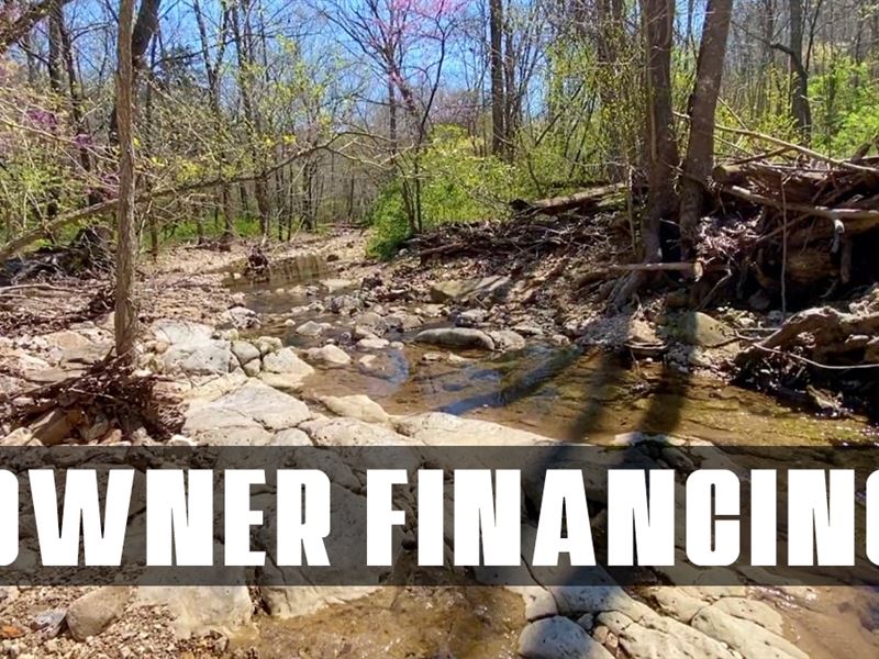 $1500 Down On Hunting Tract : Rolla : Pulaski County : Missouri