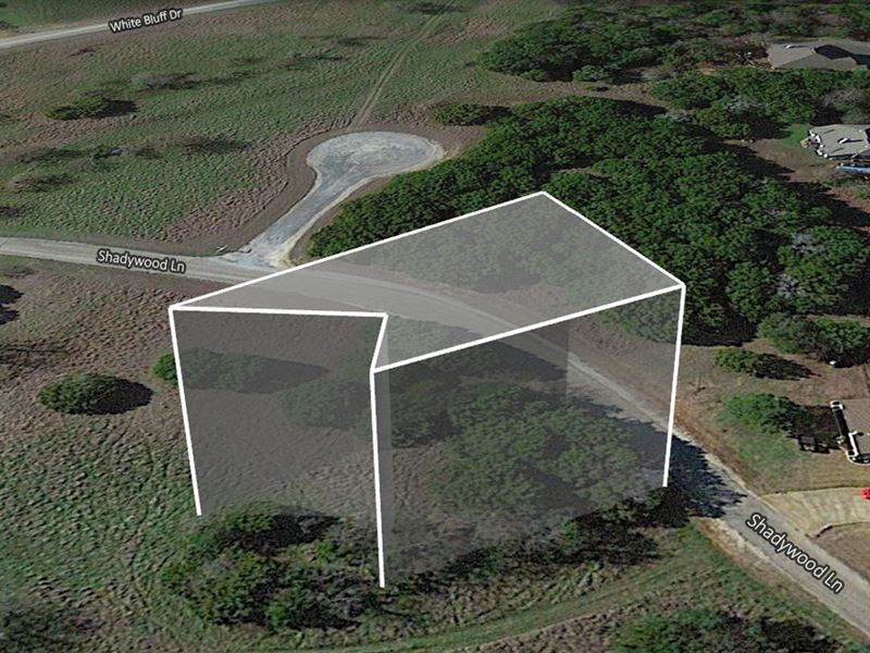 Nature Lovers Dream, 0.27 Ac Land : Whitney : Hill County : Texas