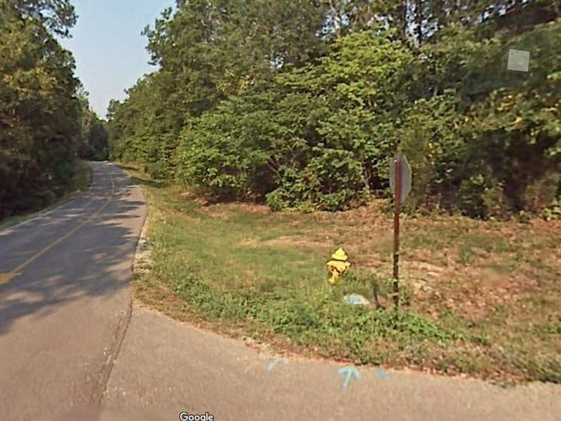 .24 AC Mialaquo Point, Loudon, TN : Loudon : Loudon County : Tennessee