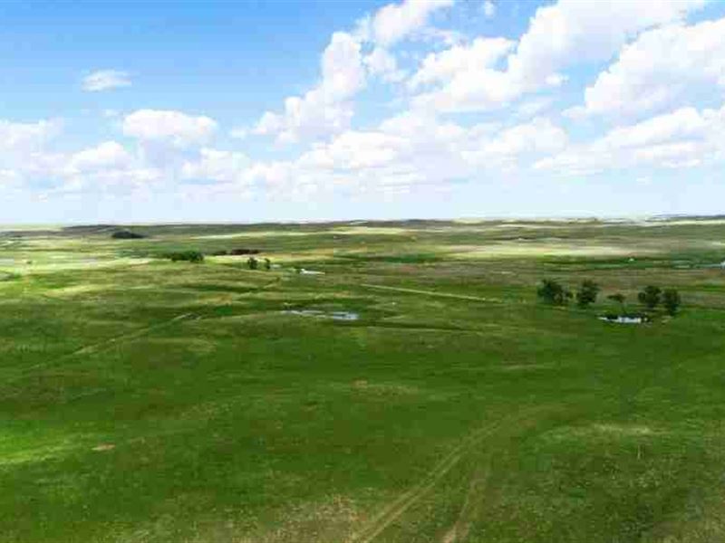 Brown County Grass and Range : Ainsworth : Brown County : Nebraska