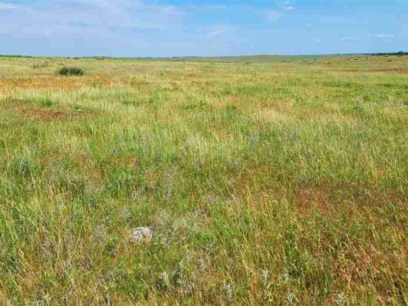 Knox County Pasture : Verdigre : Knox County : Nebraska