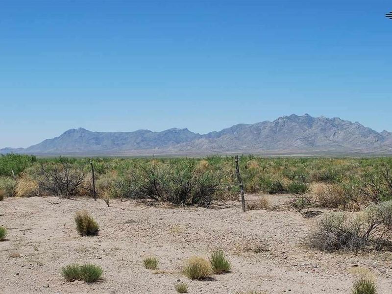 Off Grid Living Made Easy : Deming : Luna County : New Mexico