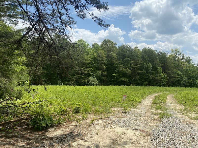 Off Grid Living Lots : Williamsburg : Whitley County : Kentucky