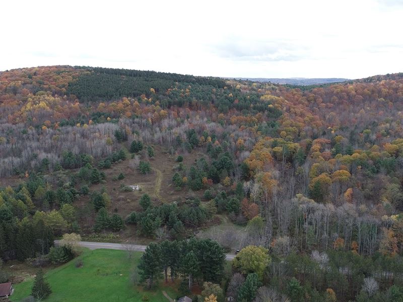 Large Year Round Hunting Site : Spencer : Tioga County : New York