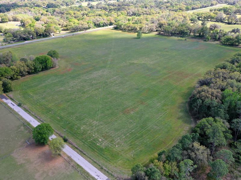 Webster Hayfield, 20 AC : Webster : Sumter County : Florida
