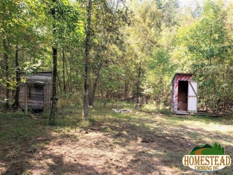 Calling All Hunters : Fremont : Carter County : Missouri