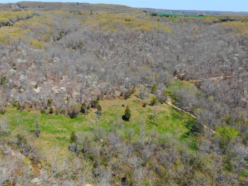 41 Acres Of Hunting Land : Rolla : Pulaski County : Missouri