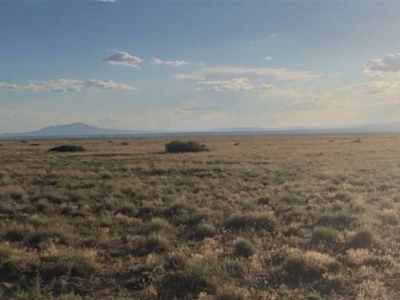 Raw Land Perfect for Night Sky View : Belen : Valencia County : New Mexico
