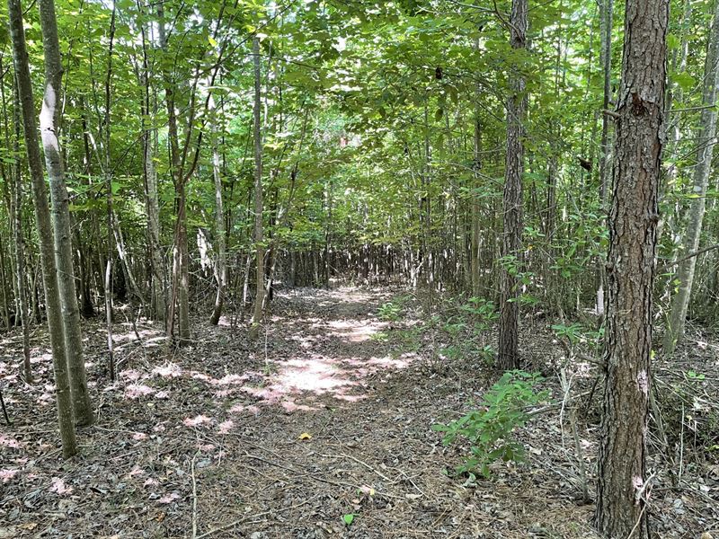 8 Acres Hall County, GA : Gainesville : Hall County : Georgia